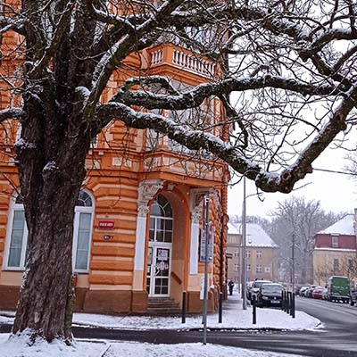 škola