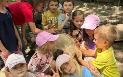 Hledáme učitelku/učitele do mateřské školy