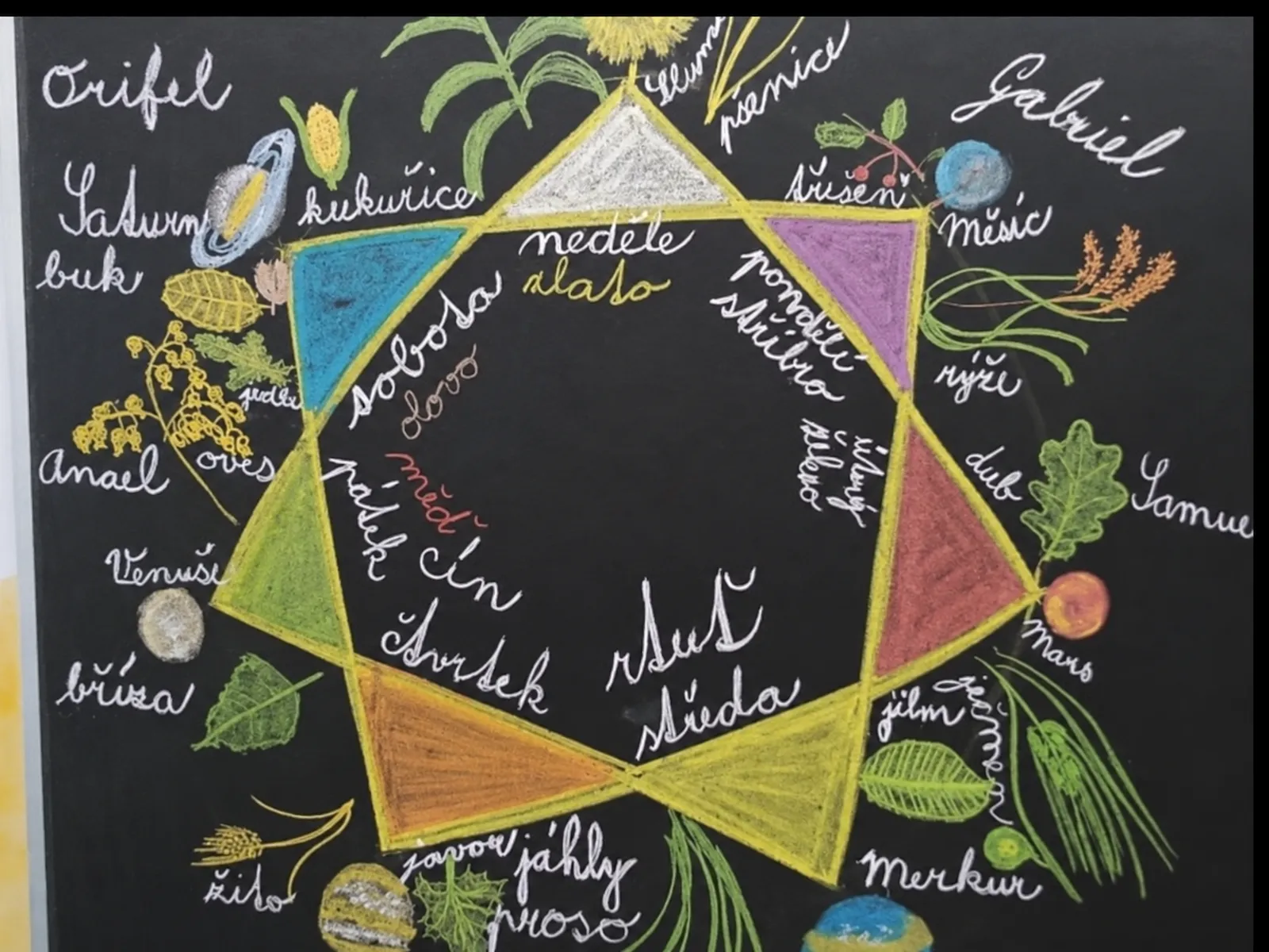 Jemně retušovaný botanický hexagram na tabuli