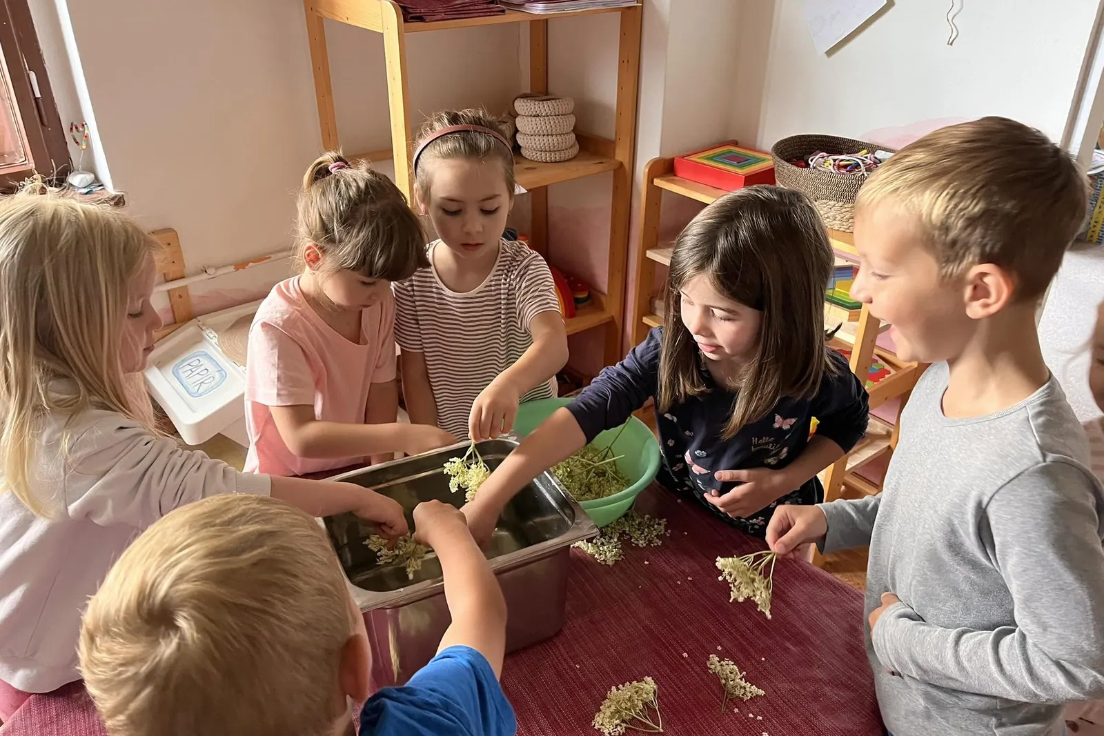 děti ve školce vyrábějící bezovou šťávu